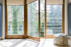 fenster4
